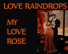 LOVE TEARDROPS LOVE ROSE