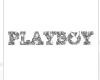 Silver Play Boy