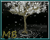 [MB] Eternal White Tree
