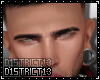 D13l Jake Brows
