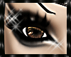 (x)Copper Eye