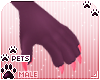 [Pets] Vida | claws
