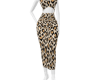 MS Skin Leopard