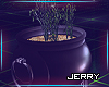 !St Patrick Shamrock Pot