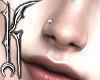 ╋━ NOSE #R
