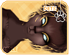 [Pets] Theo | hair v6