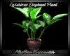 ~MSE~ LUXURIOUS PLANT