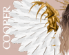 !A white and gold wings