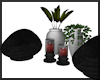 Bean Bag Chairs & Plants