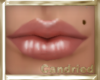 Lip Gloss - dione head