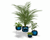 Set di piante