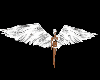Magic Trigger Wings W.*