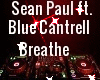 Breathe/Sean P ft Blue