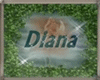 Diana`s Trail