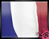 lBTl French Freedom Flag