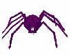 Purple/Black Pet Spider