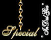 IN} Special Gold Ncklce