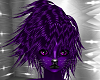 purple cat fur hairs M/F