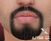 ❌ Asteri beard v5