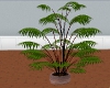 Wooden Potted Plant