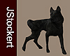 AP Black Wolf #3