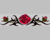1SF red rose