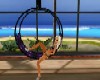 the purple swing