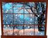 The window in the winter