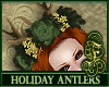 Holiday Antlers Green