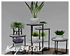 Plant Stand Plants Vases