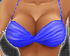 *-*Sexy Blue Bikini