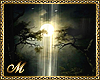MYSTERIOUS FOREST BG