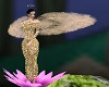 Angel,Fairy,Gold,Outfit