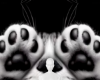 Kitty hiding eyes bg