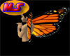 Monarch Wings MS2