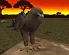 Savanna Eagle