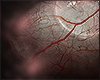 Infected Eyes - Unisex