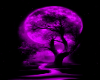 Purple Full Moon Bg