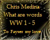 What are words-Chris M 1