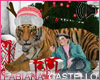 [FC] Christmas Tiger Fur