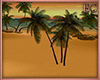 EC| Bahamas Palm Trees
