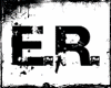 E.R.| Pillow canvas