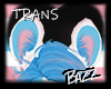 Trans | Ears 2