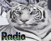 ~P~White Tiger Radio