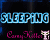 ~CK Sleeping HeadSignage
