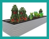 ~ Small Vege Garden
