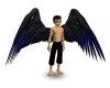 [J]Dark Angel Wings