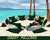 Daisy Pillows