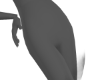 404