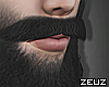 Black Long Moustache